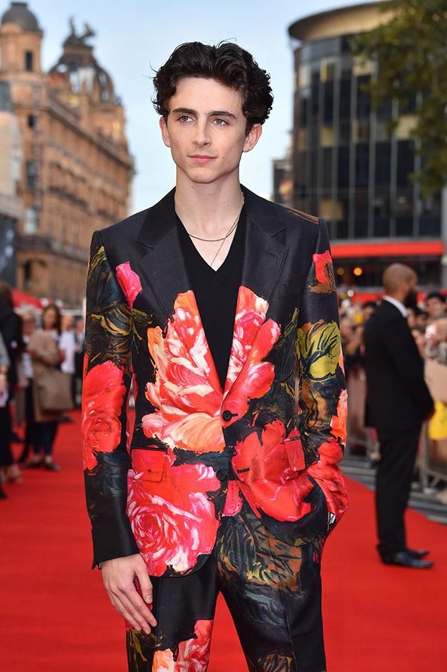 Timothée Chalamet en la première de la película 'Beautiful Boy' en Londres