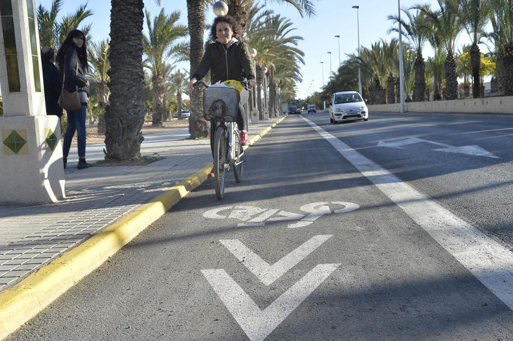 El carril bici en la avenida de la universidad