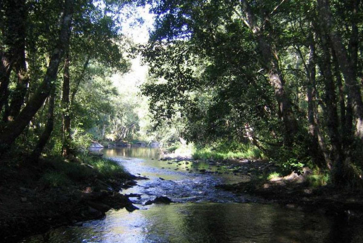 El río Arnoia.