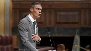 El presidente del Gobierno, Pedro Sánchez, durante su comparecencia el pasado jueves en el Congreso. 