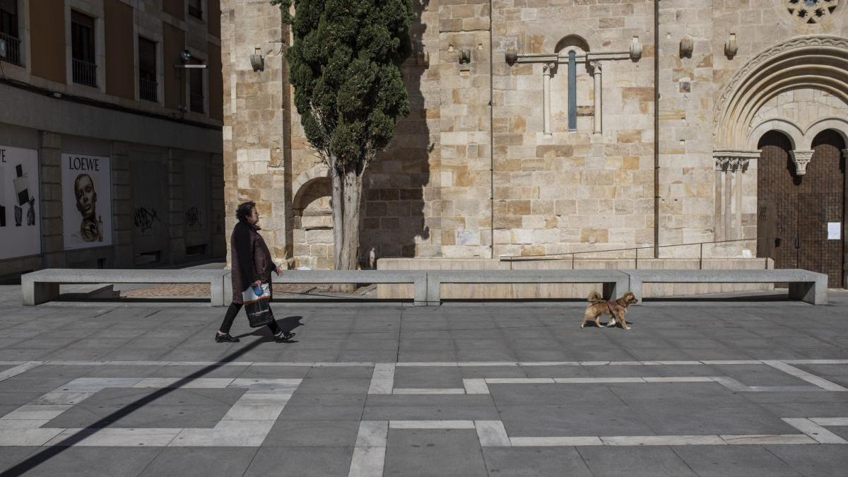 Una zamorana pasea a su perro por la capital.