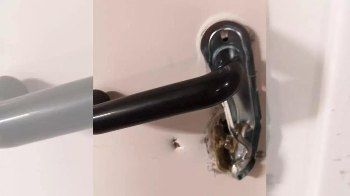 La cerradura de uno de los trasteros del primer bloque violentado en el barrio de Domeny de Girona.