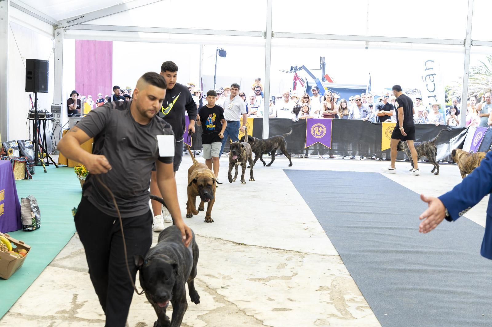 IV Feria Agrícola, Ganadera y Pesquera de Teguise recibe unas 40.000 personas