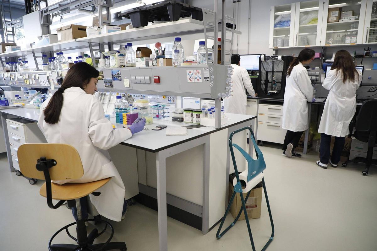 Investigadores nun laboratorio do Ciqus