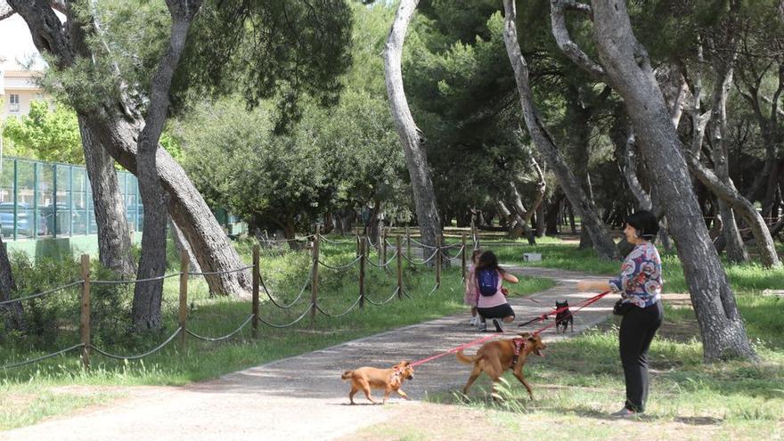 El Parque del Pinar es uno de los lugares más emblemáticos del Grau de Castelló.