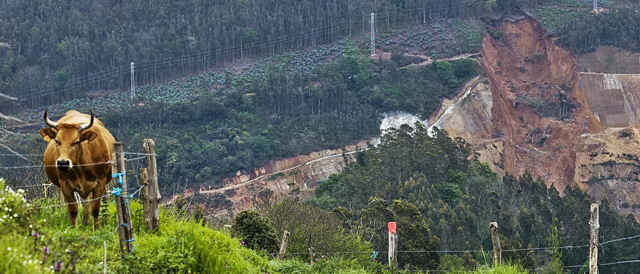 El “argayón” a la altura de Casazorrina, en Salas. | Irma Collín