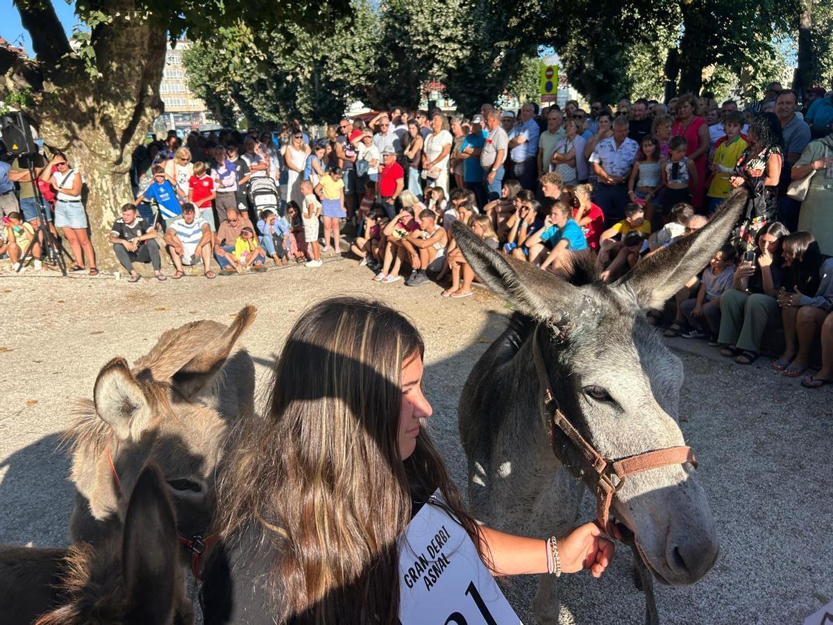 O Gran Derbi Asnal regresa a Padrón en clave de homenaxe aos burros fariñeiros