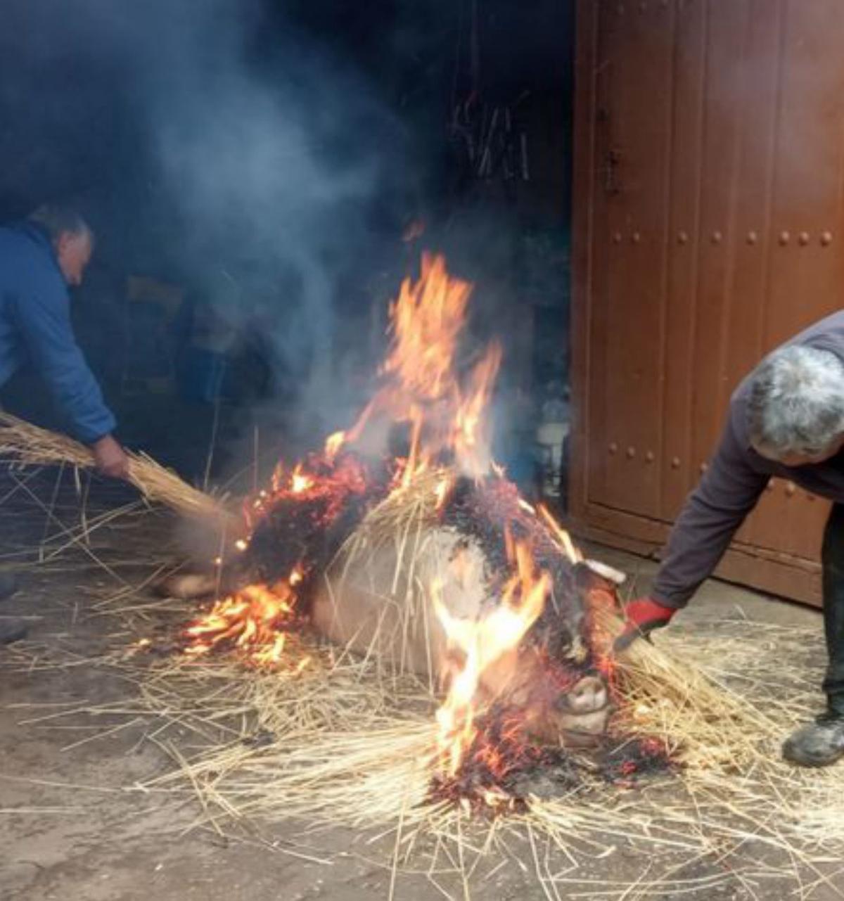 La última mondonguera de Figueruela de Abajo