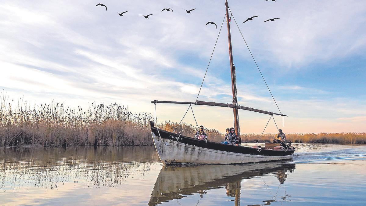 Albufera Valencia. Crisis climática. Dominical 18 de junio de 2023