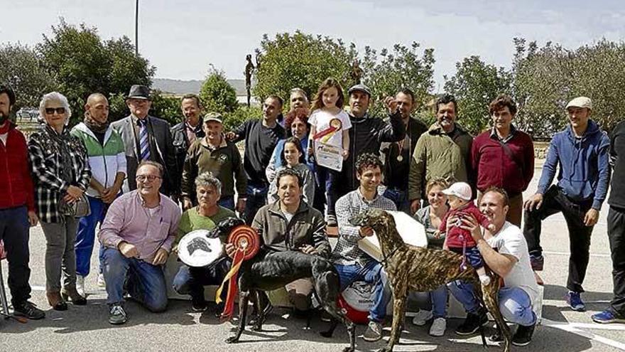 Exhibición de galgo español y pastor mallorquín en convocatorias de Vilafranca