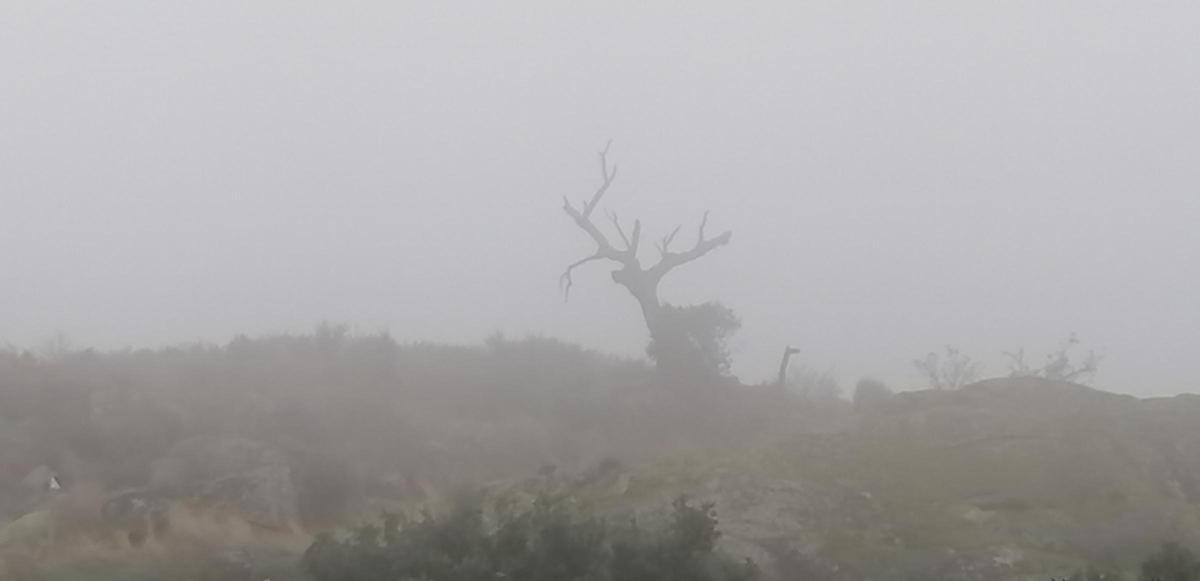 Fotogalería | Mañana de niebla en el norte de Cáceres