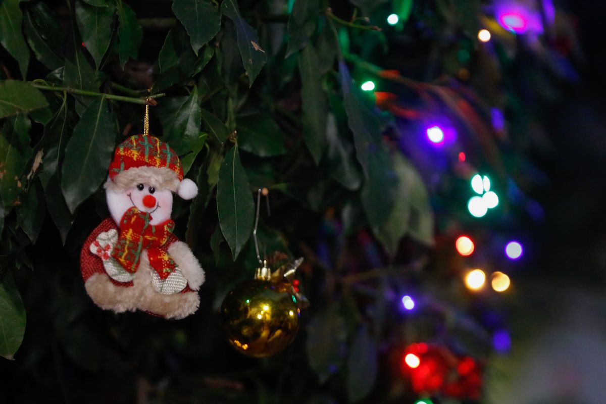 Los patios de Navidad derrochan brillo e ilusión en su día de apertura