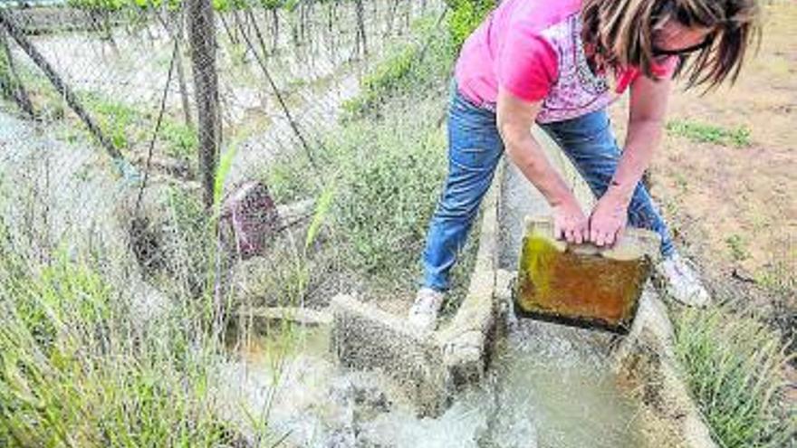 Una agricultora, en la Vega Baja en una imagen de archivo. |