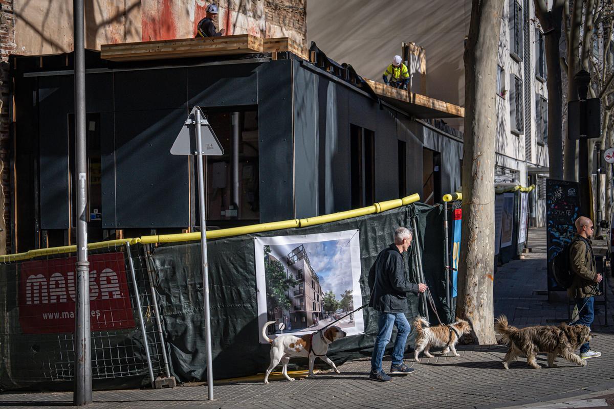 Operarios y voluntarios avanzan en los trabajos de construcción de WikiHousing, un innovador proyecto de vivienda colaborativa ubicado en un solar municipal del barrio de Poble-sec. Barcelona, 3 de febrero de 2026.