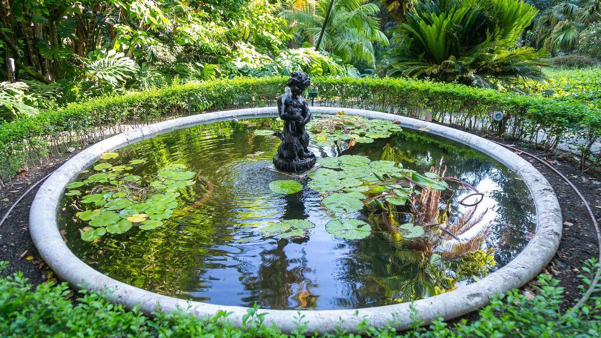 Imagen del Jardín Botánico de La Concepción