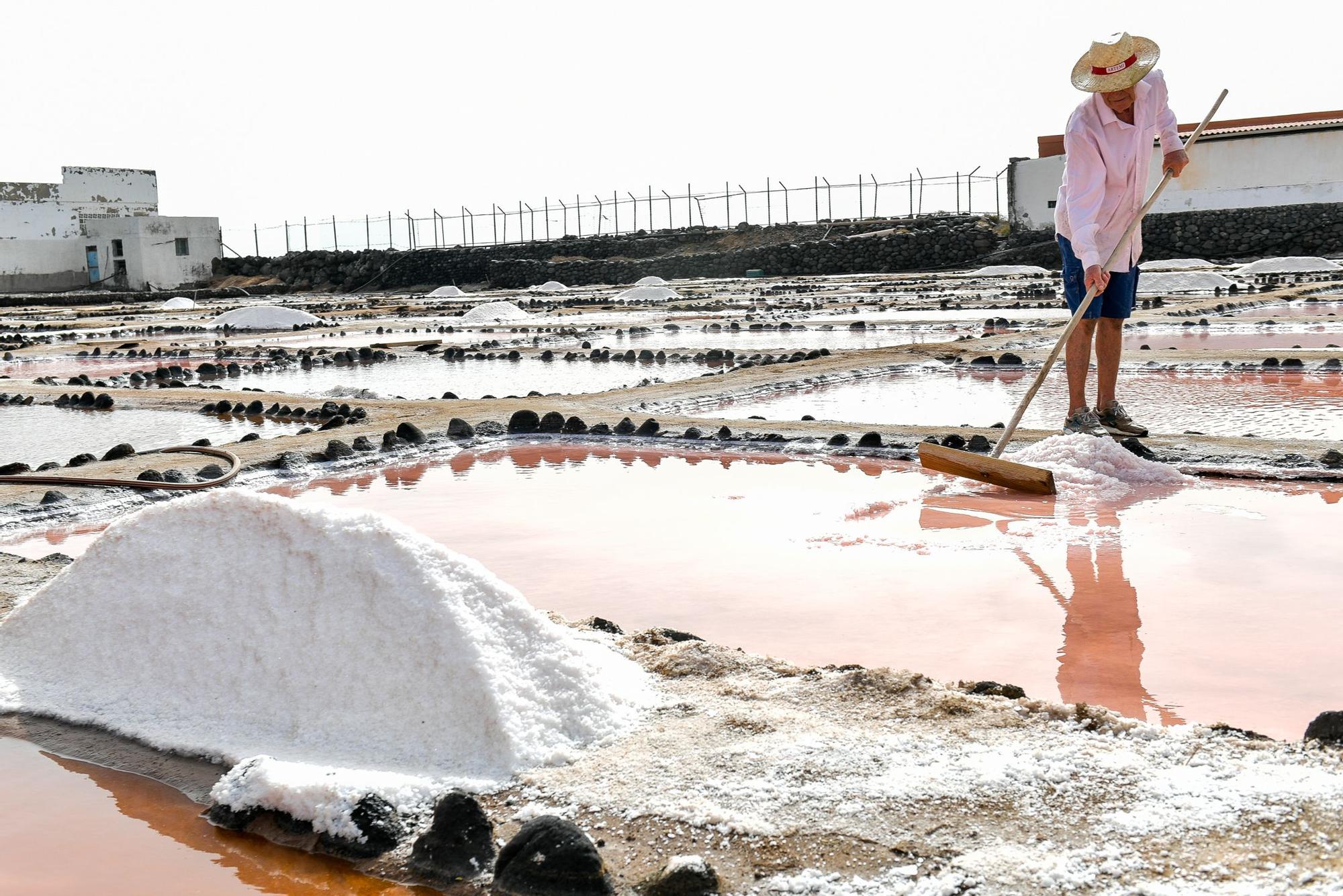 Salinas de Vargas