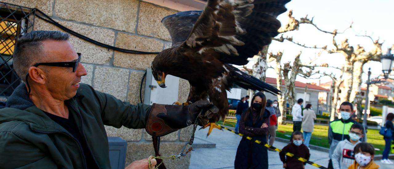 Orge muestra el espectacular águila nepaliense antes de emprender el vuelo