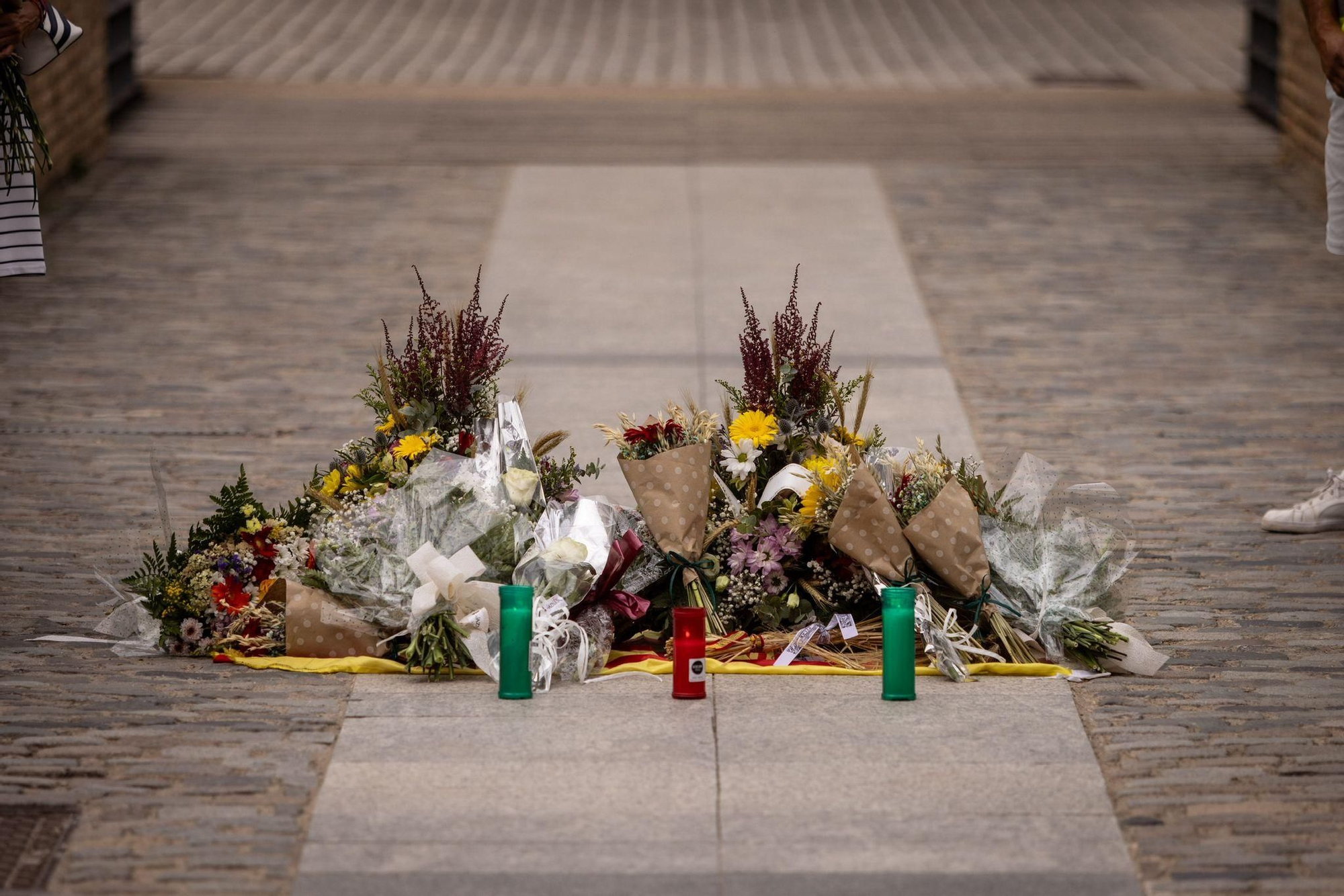 Homenaje al joven agricultor David Lafoz
