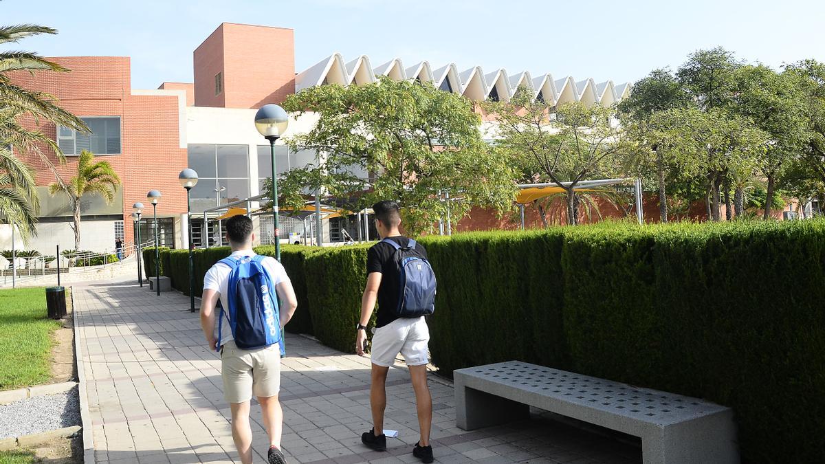 Estudiantes en la Universidad Miguel Hernández (UMH) de Elche