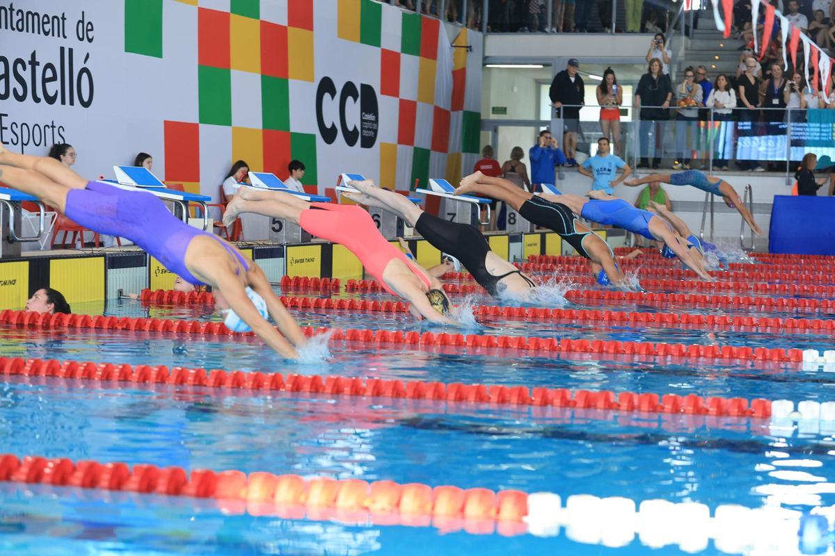 Galería: Lo mejor del fin de semana en el Campeonato de España de Natación Máster celebrado en Castelló Galería: Lo mejor del fin de semana en el Campeonato de España de Natación Máster celebrado en Castelló