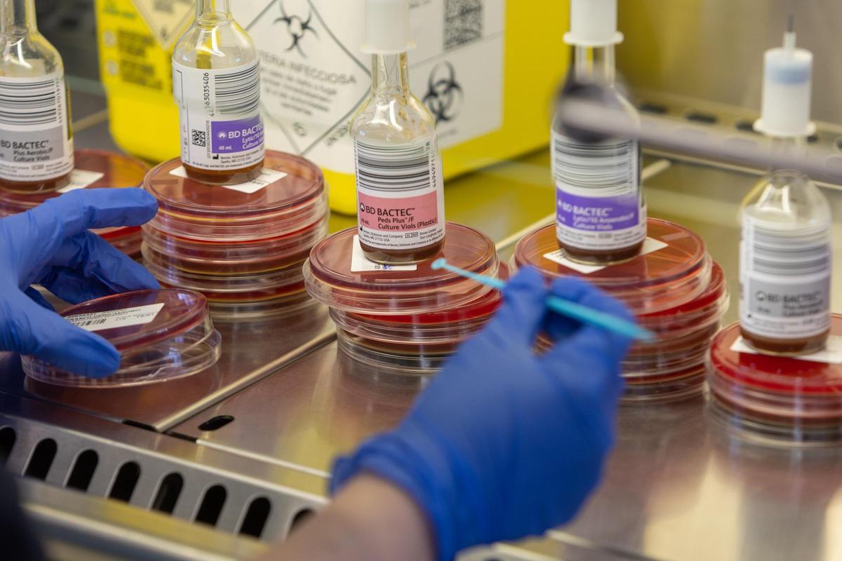 Investigación en virus y bacterias Investigación en virus y bacterias