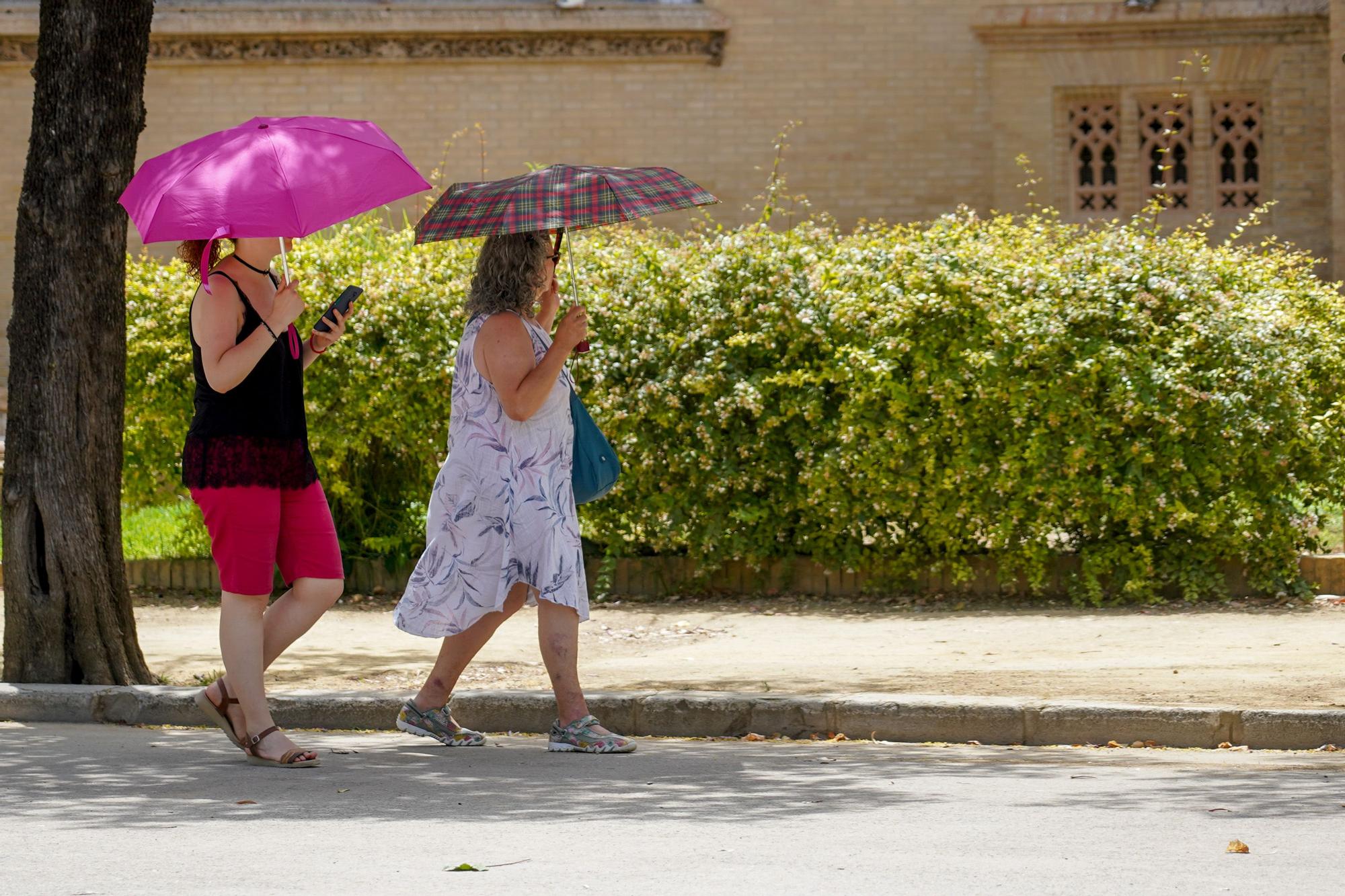 La temperatura vuelve a subir en esta primera semana de julio.