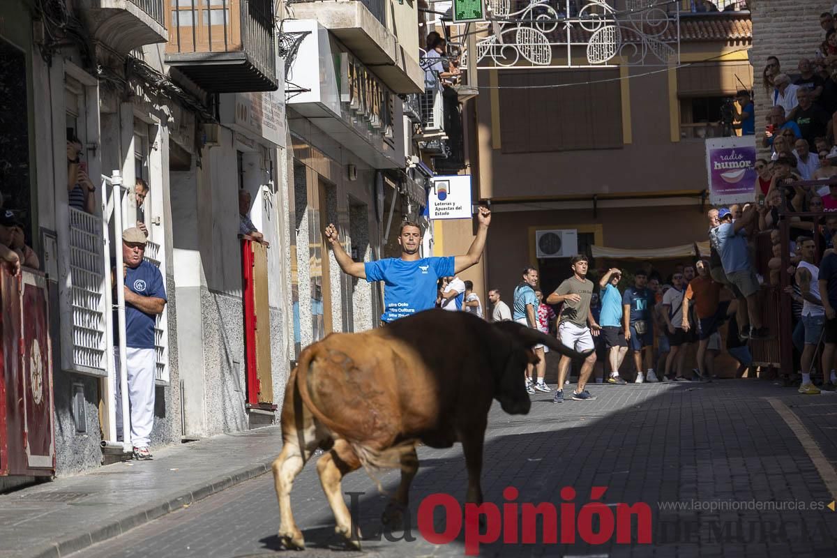 Tercer encierro de las Fiestas de Moratalla