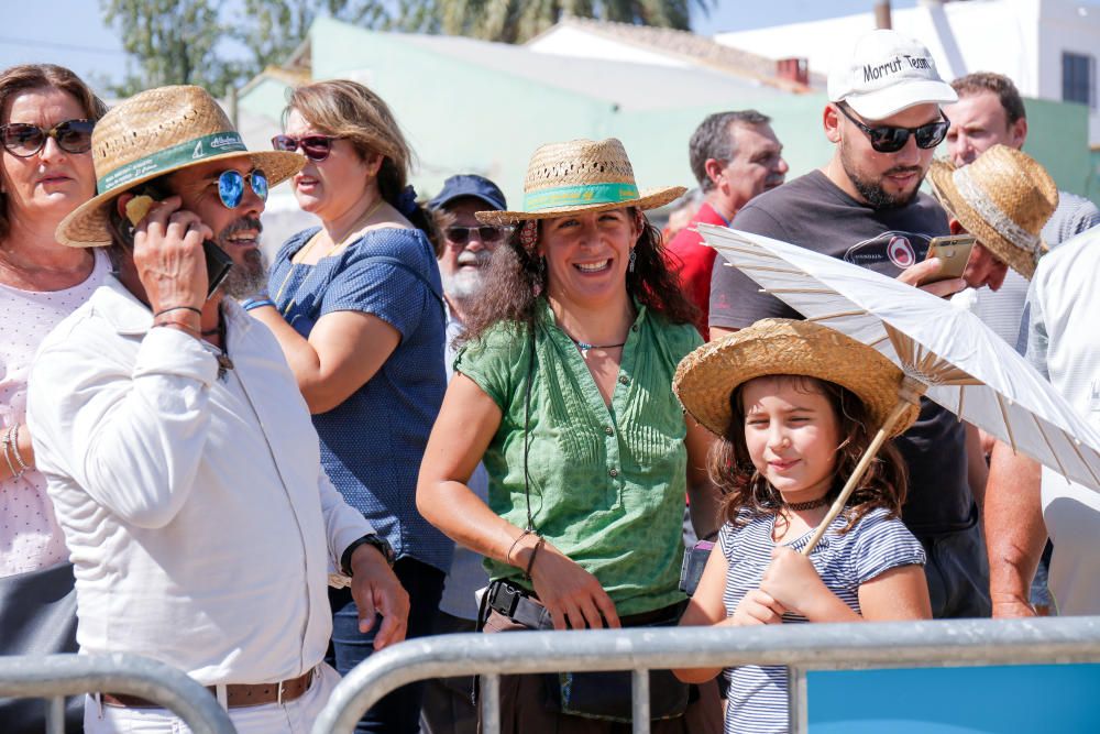 Siega y 'perxa' en l´Albufera