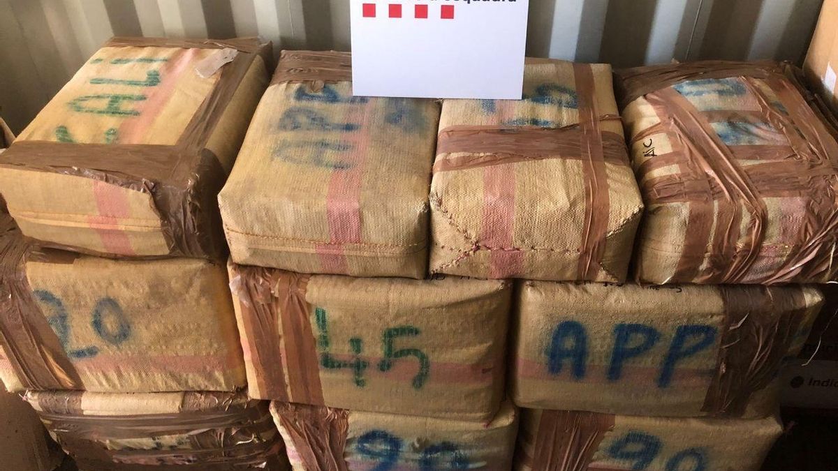 Un conductor escapa de los Mossos con mil kilos de droga por la AP-7 y lo detienen cuando cae por un barranco en l'Ampolla