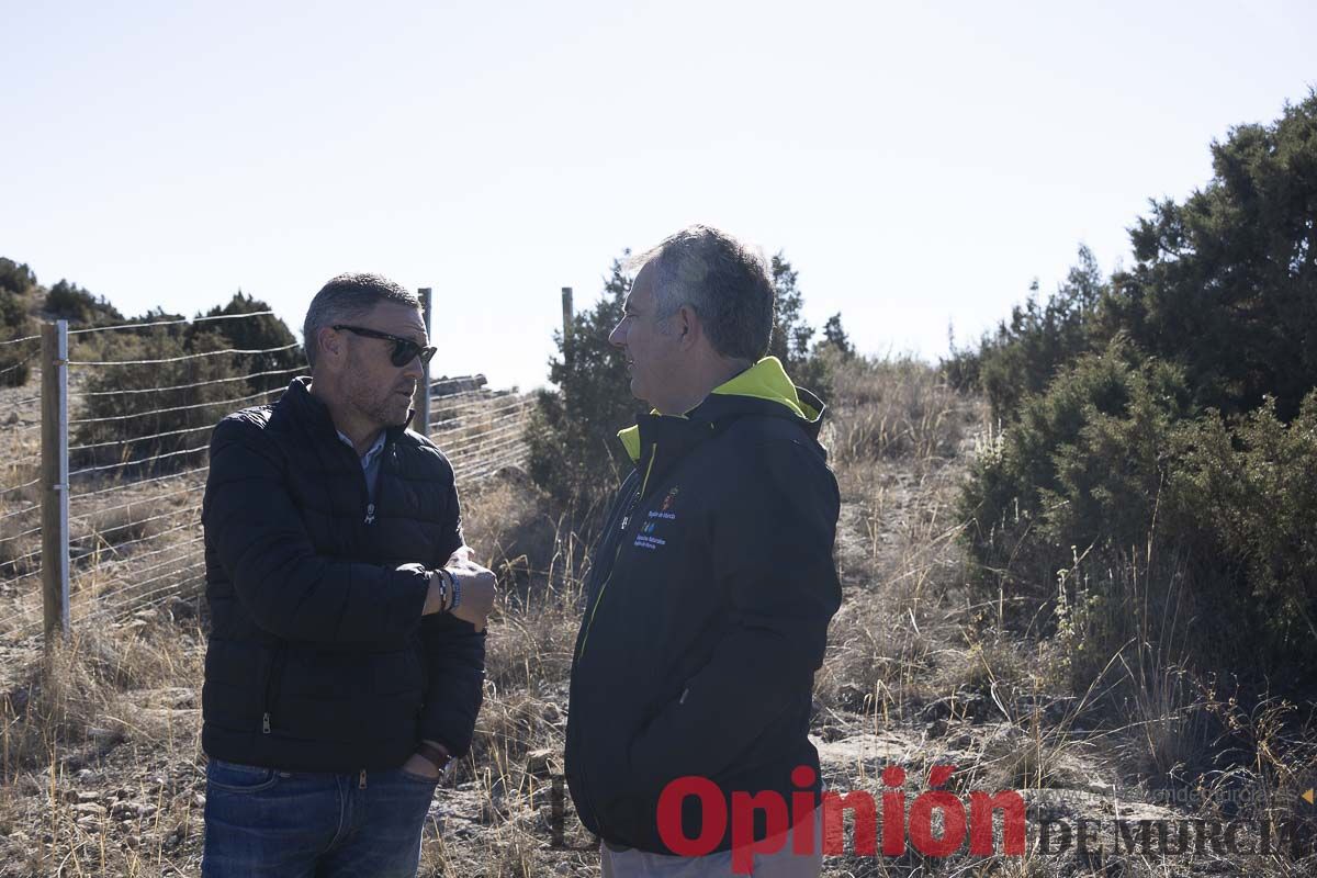 Suelta de dos buitres leonados en la Sierra de Mojantes en Caravaca