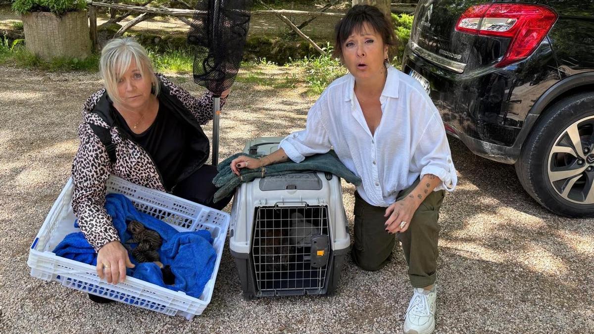 Les voluntàries de l'associació animalista de Solsona