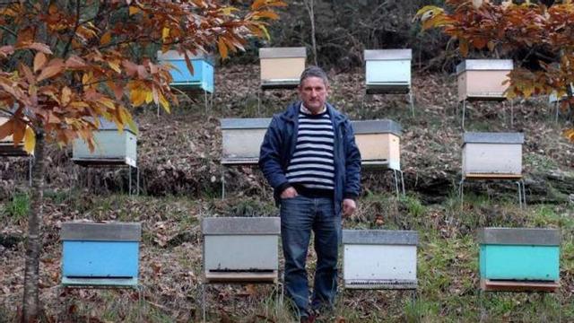 Fernando Pájaro posa junto a sus colmenas, en los montes entre Lalín y O Irixo.  // Bernabé/Javier Lalín