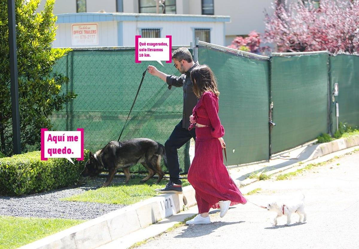 Ben Affleck y Ana de Armas paseando a los perros