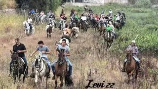 Vibrante encierro de caballos y cabestros en Xilxes