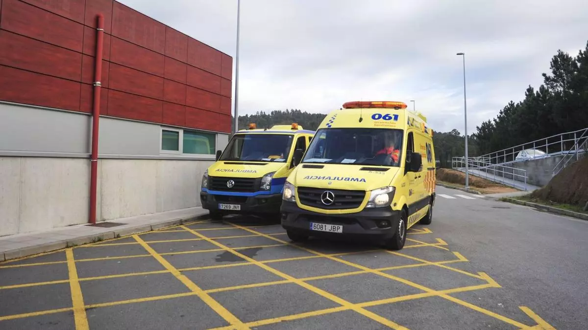 Muere un hombre en O Porriño tras caerle encima el árbol que talaba