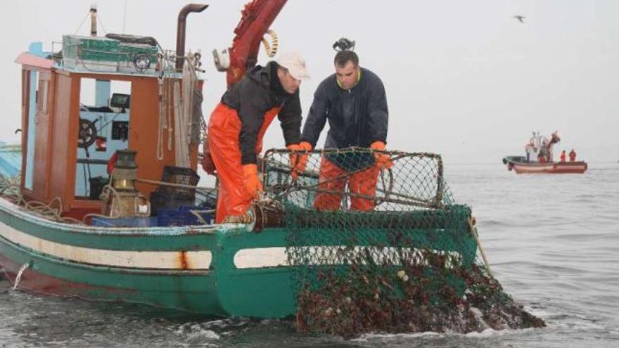 Dos mariscadores extraen vieira de la ría para descargarla en puerto. / josé luiz oubiña