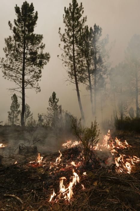 El suroccidente asturiano lucha contra las llamas