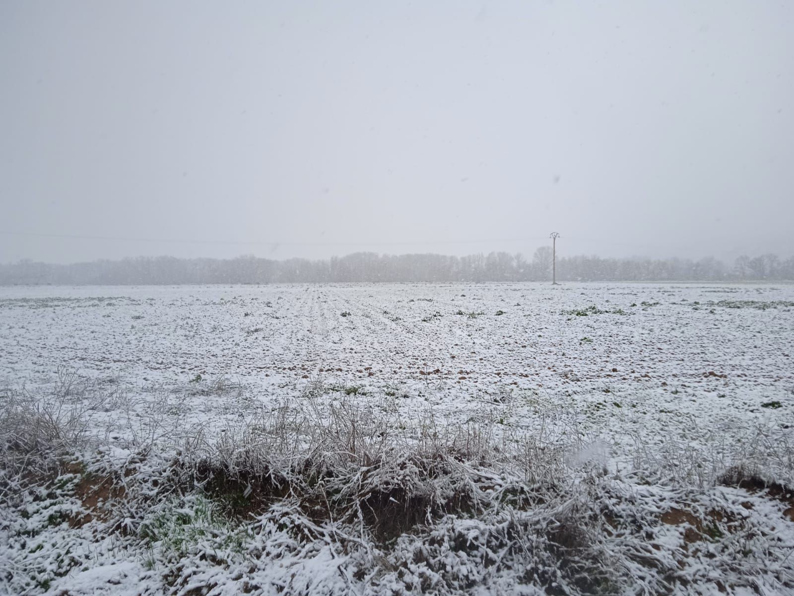 GALERIA | Así ha vivido Toro la nevada de hoy