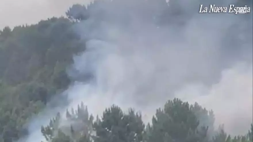 Susto en Arnao: arde una zona boscosa encima de la fábrica de Asturiana de Zinc