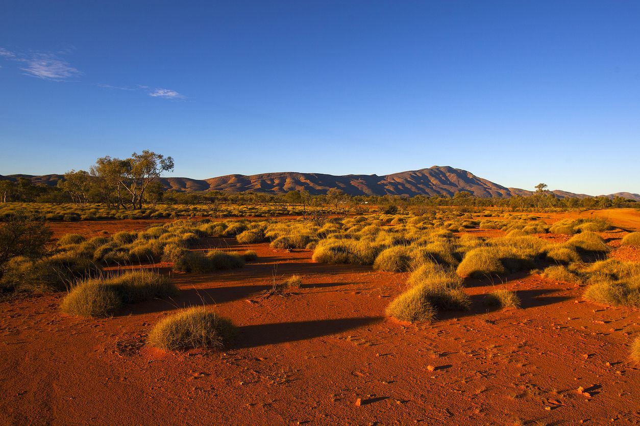 Desierto australiano en Rangos de West McDonell