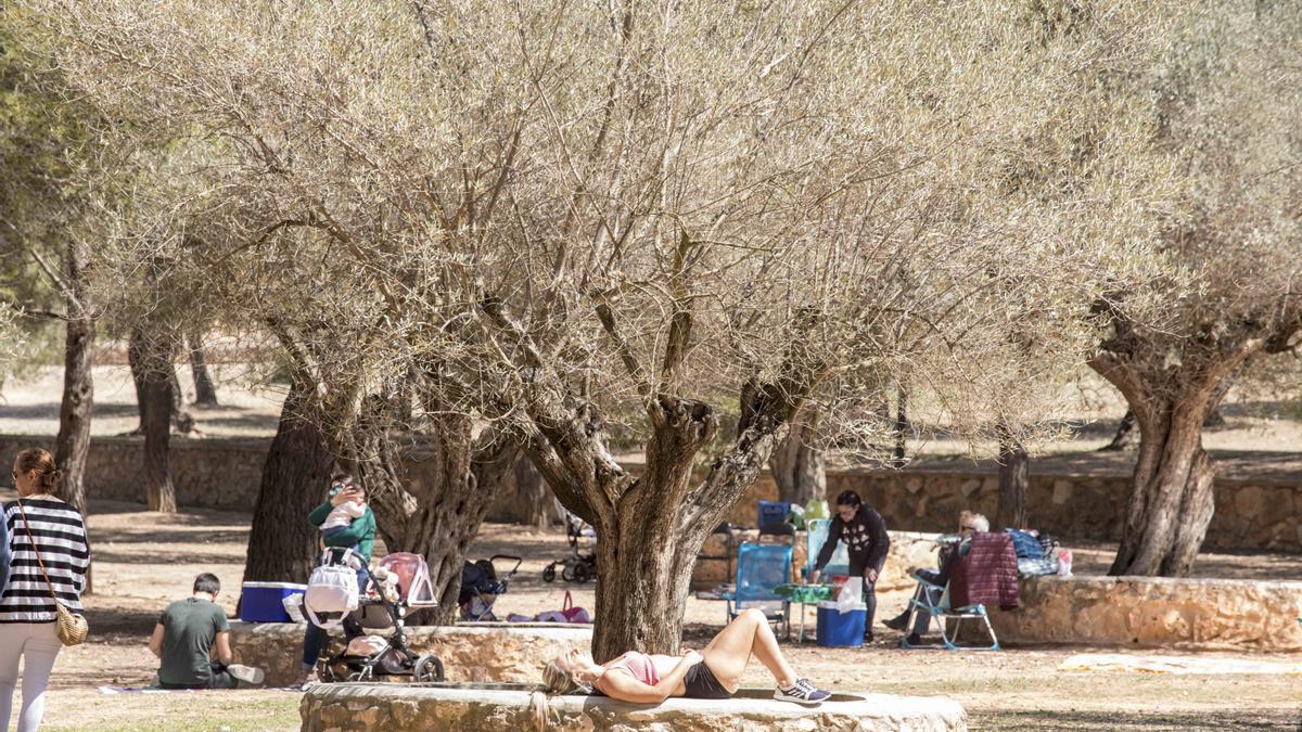 Una mujer toma el sol esta mañana en el parque San Vicent de Lliria