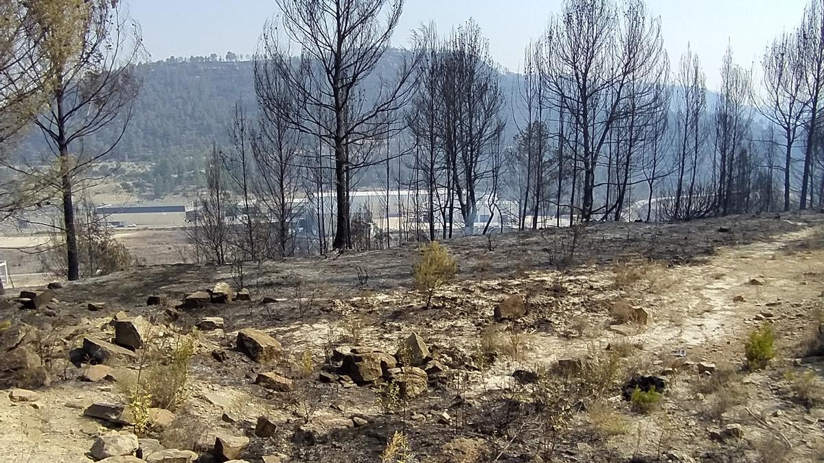 Així ha quedat la zona forestal del Pont de Vilomara afectada per l&#039;incendi