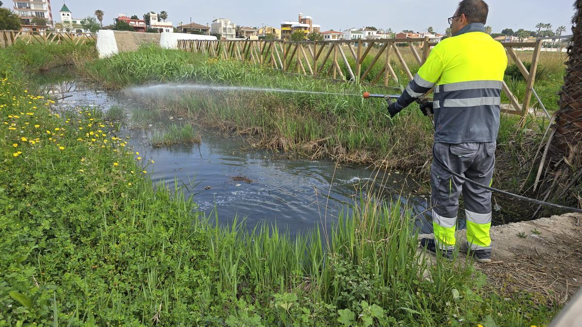 Tratamientos contra los mosquitos en Burriana
