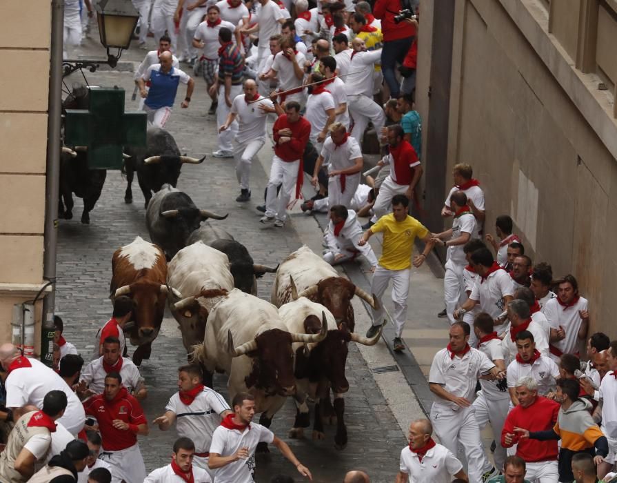 Los toros de José Escolar protagonizan el ...