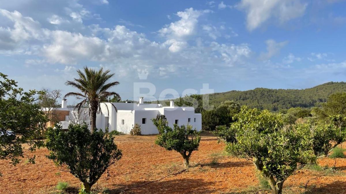 La finca en la zona de Sant Mateu