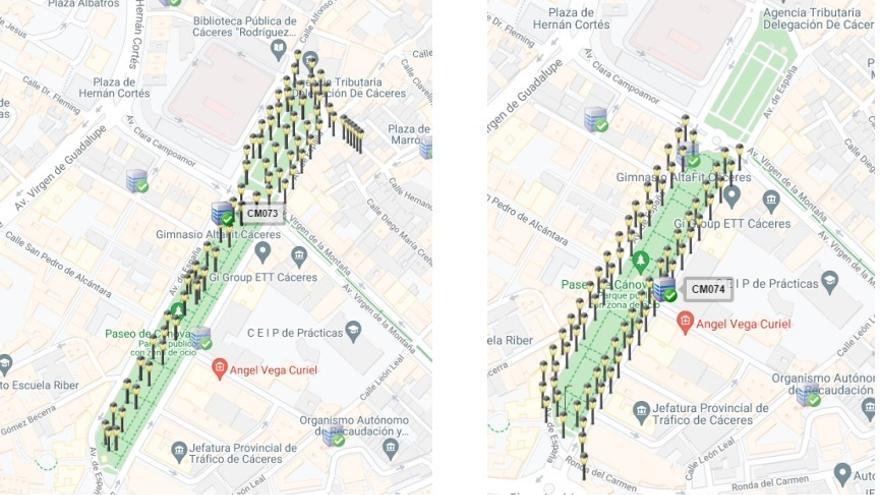 Gráfico del ayuntamiento con el proyecto de mejora externo e interno.