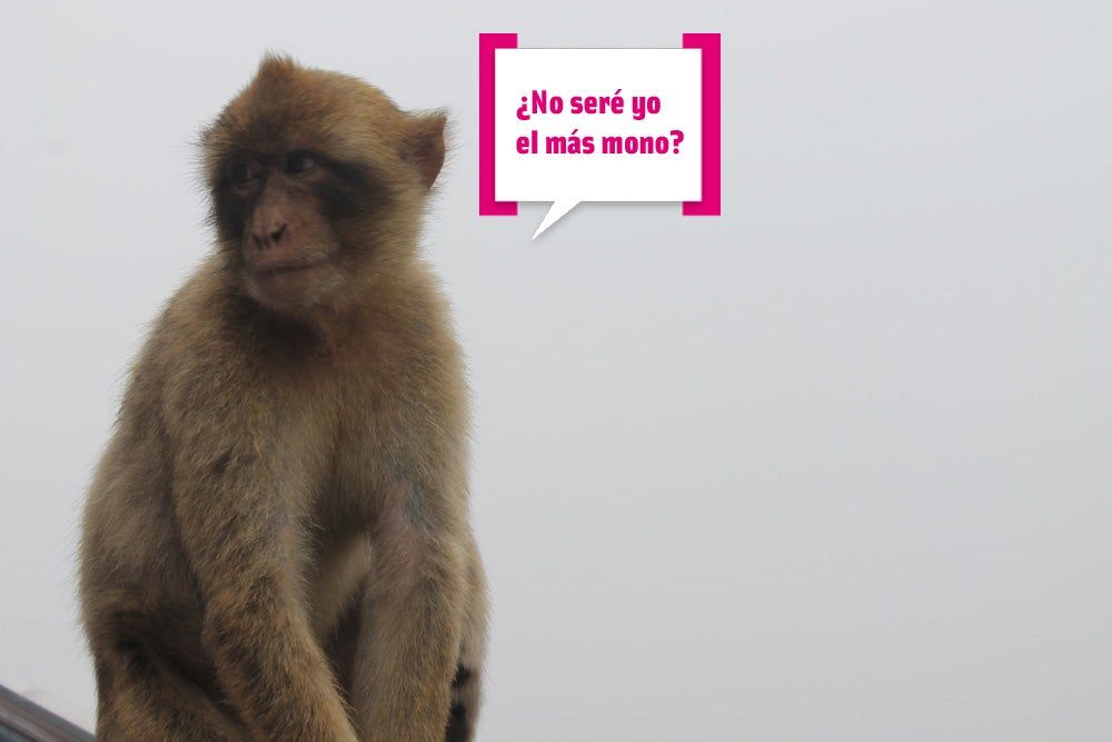 Planes de la semana: pasear por el Peñón de Gibraltar