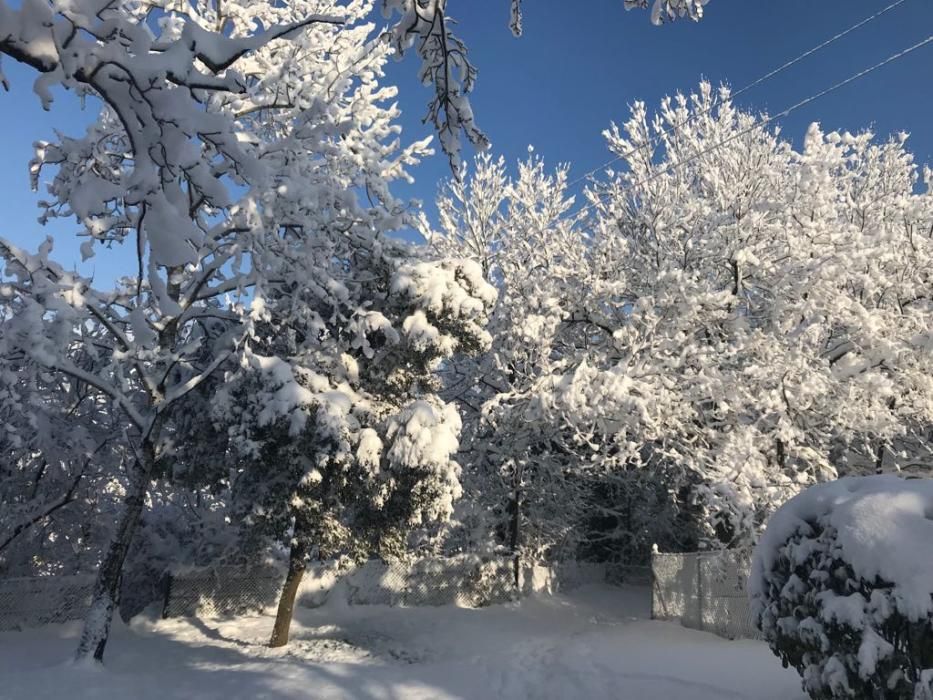 Paisatge matinal nevat a la Catalunya Central