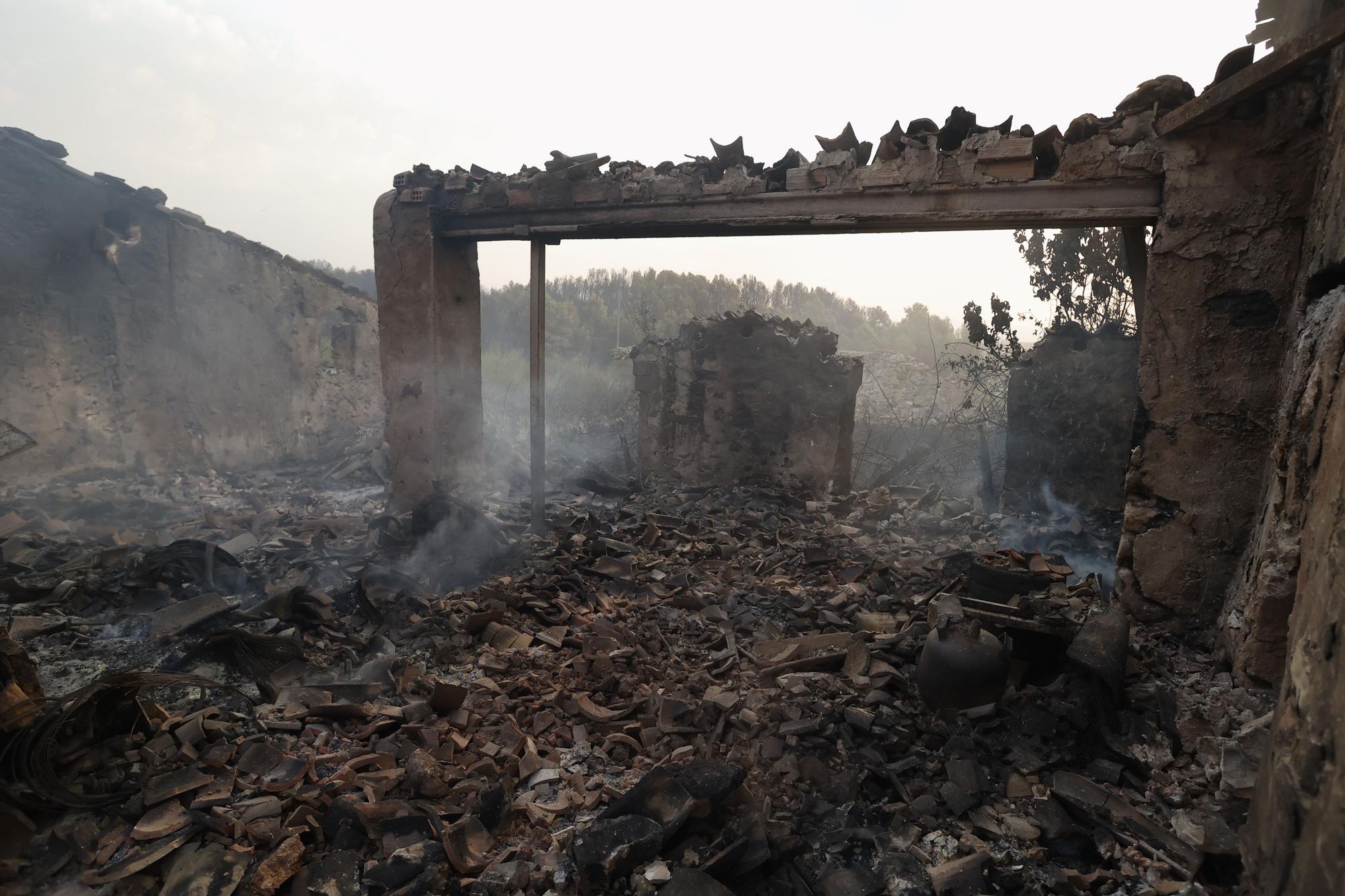 Desoladoras imágenes del incendio de Bejís