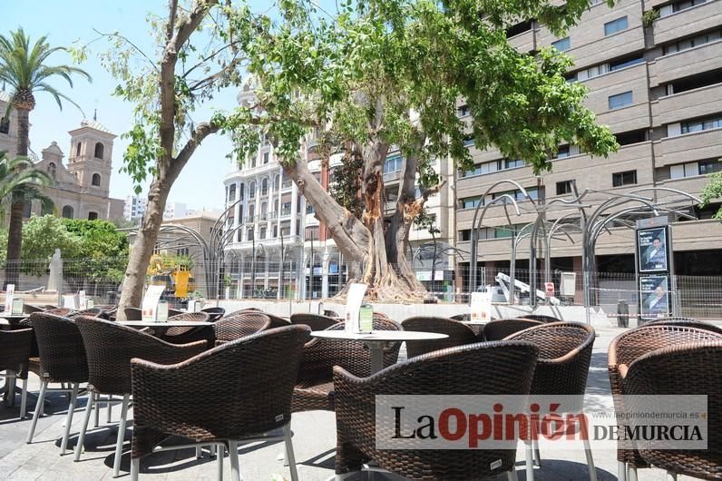 El estado final del ficus de Santo Domingo